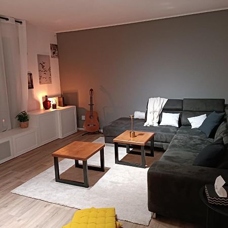 Stylish 1-Bedroom Flat With Beautiful Terrace , For A Cosy Retreat Страсбург Экстерьер фото